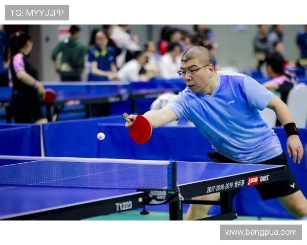 北京乒乓球队如何通过反击革新重塑辉煌成就与未来展望